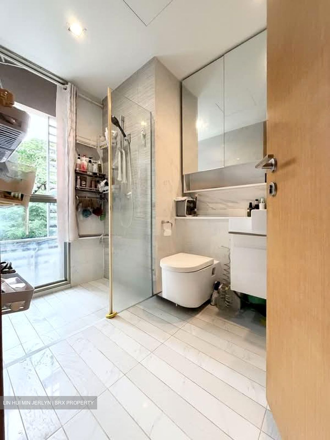 Terrasse (D19), Condominium #573069891